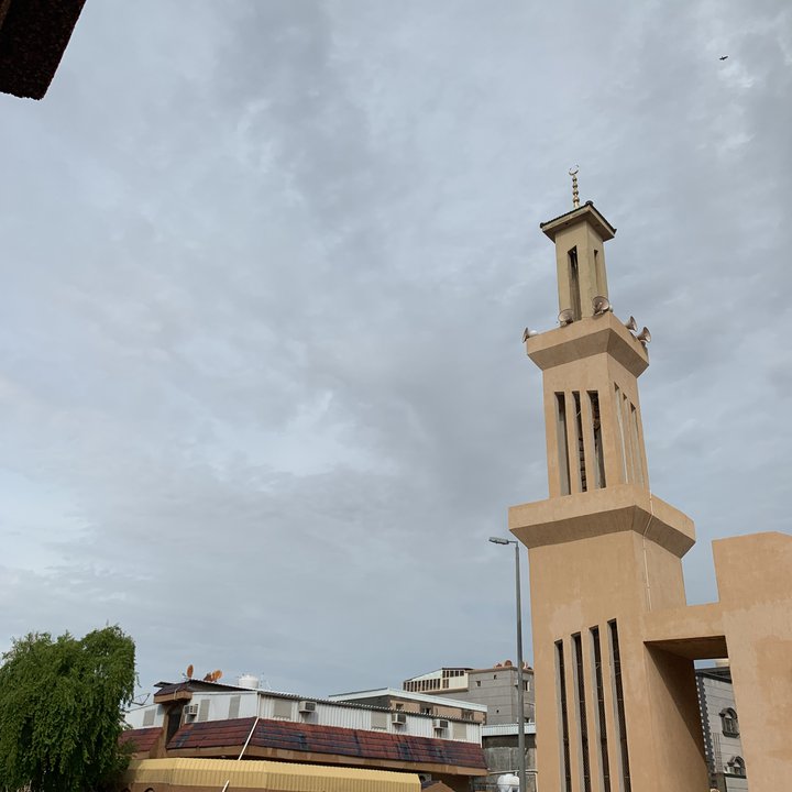 مشاركاتي في أنت الراصد