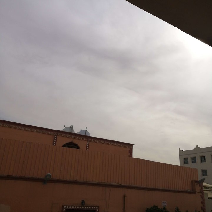 مشاركاتي في أنت الراصد