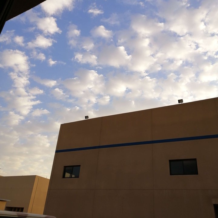 مشاركاتي في أنت الراصد