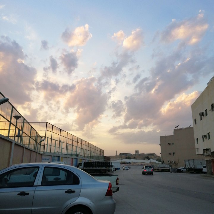 مشاركاتي في أنت الراصد