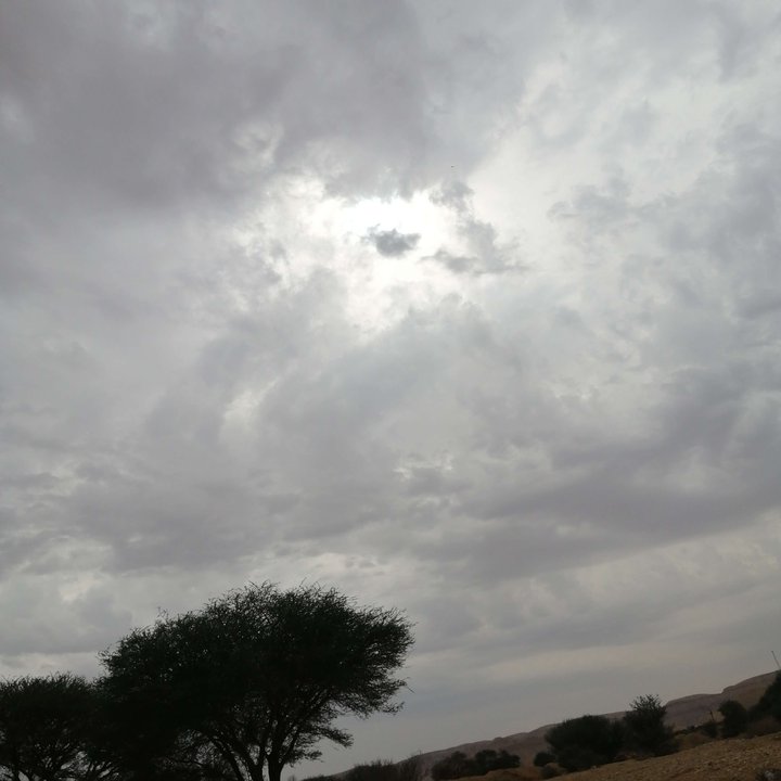 مشاركاتي في أنت الراصد