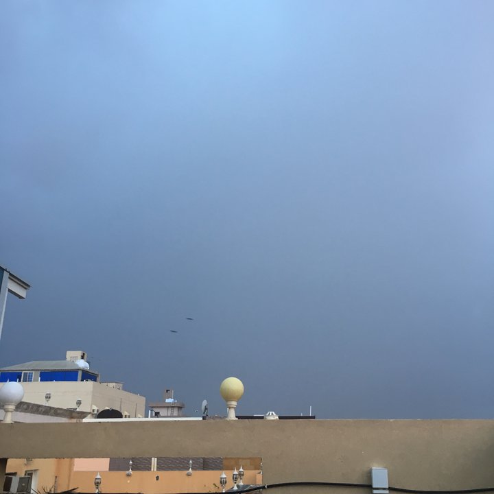 مشاركاتي في أنت الراصد