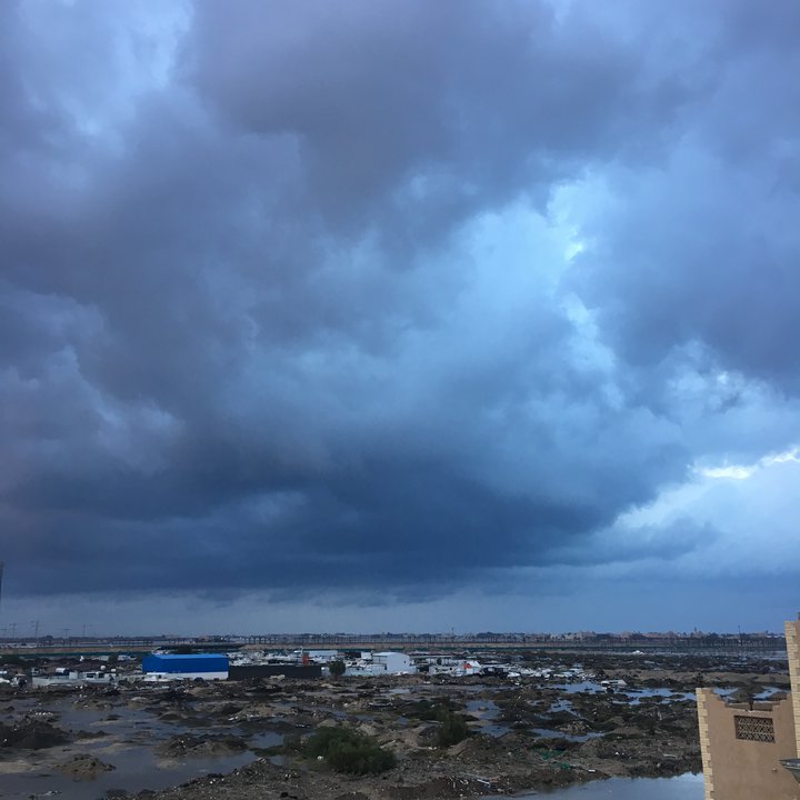 مشاركاتي في أنت الراصد