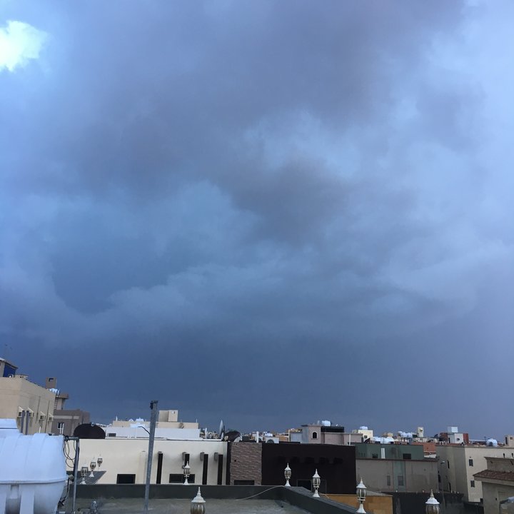 مشاركاتي في أنت الراصد