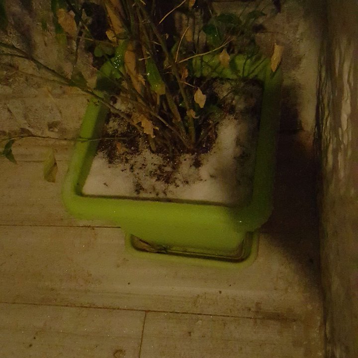 My Crowdsourcing Posts