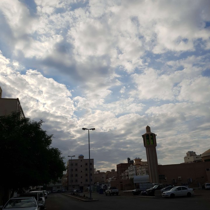 مشاركاتي في أنت الراصد