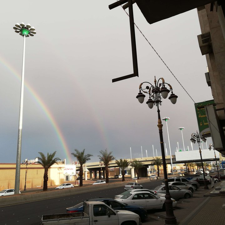 مشاركاتي في أنت الراصد