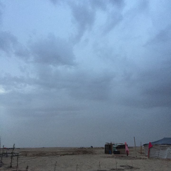 مشاركاتي في أنت الراصد