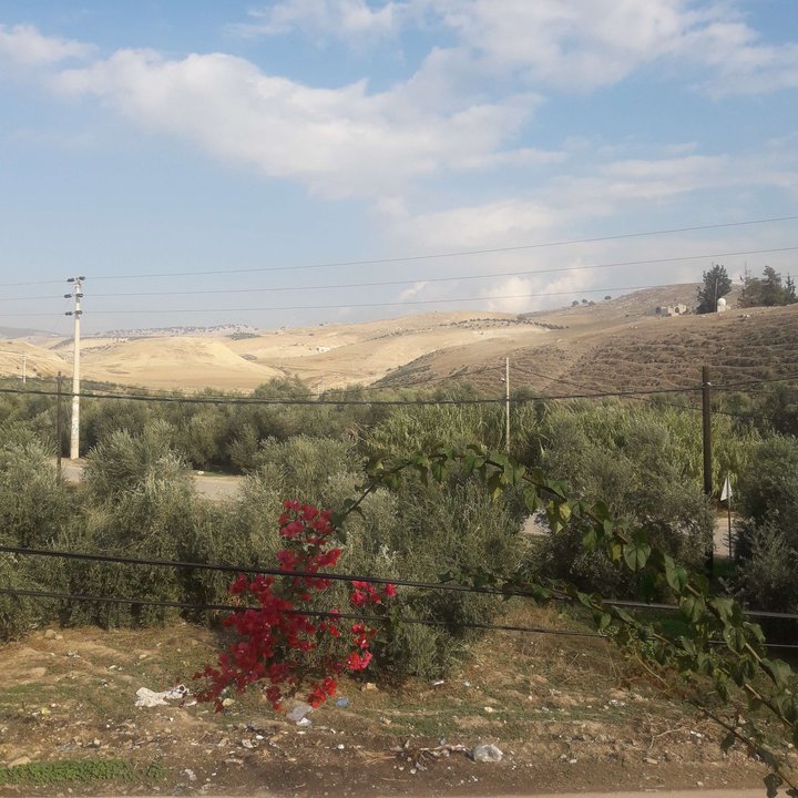 My Crowdsourcing Posts