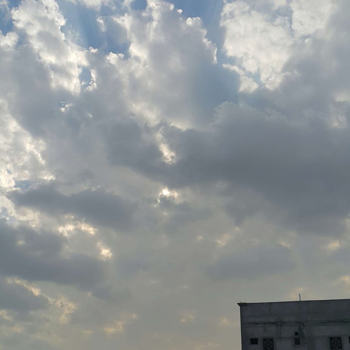 مشاركاتي في أنت الراصد