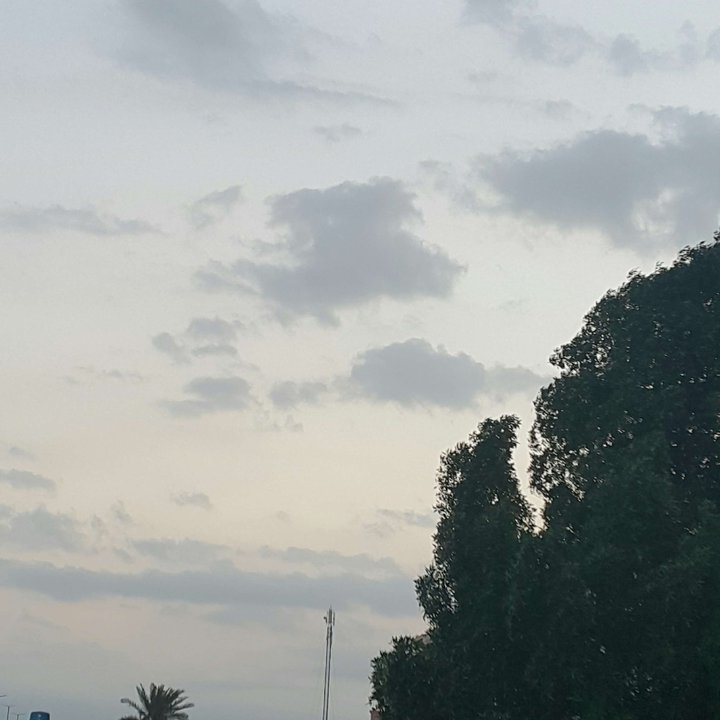 مشاركاتي في أنت الراصد