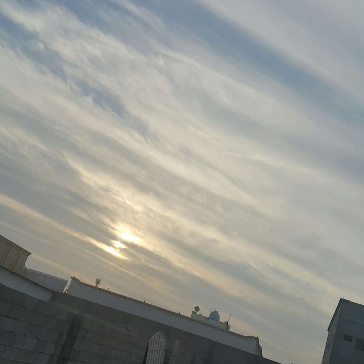 مشاركاتي في أنت الراصد