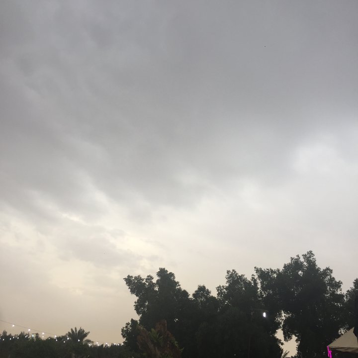 مشاركاتي في أنت الراصد