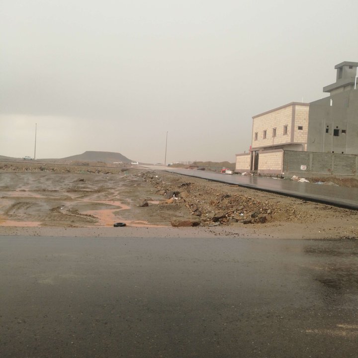 مشاركاتي في أنت الراصد