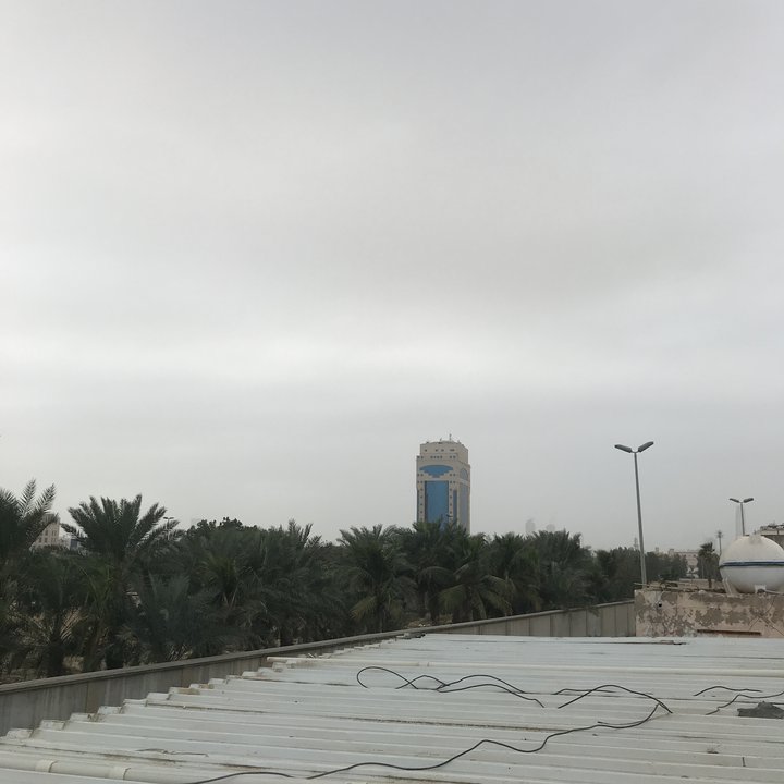 مشاركاتي في أنت الراصد