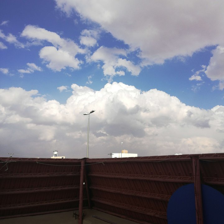 مشاركاتي في أنت الراصد