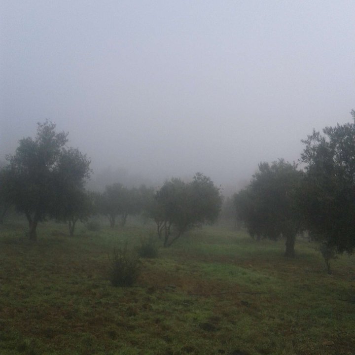 My Crowdsourcing Posts