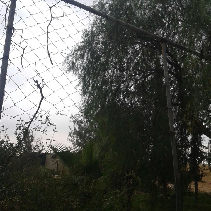 My Crowdsourcing Posts