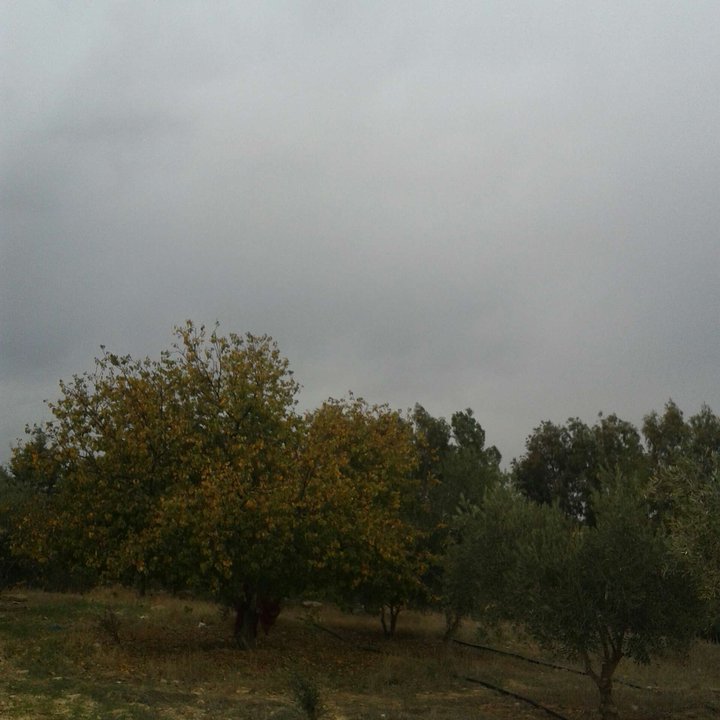 My Crowdsourcing Posts