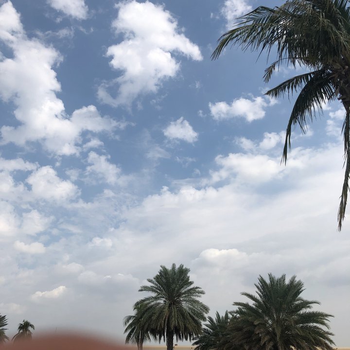 مشاركاتي في أنت الراصد