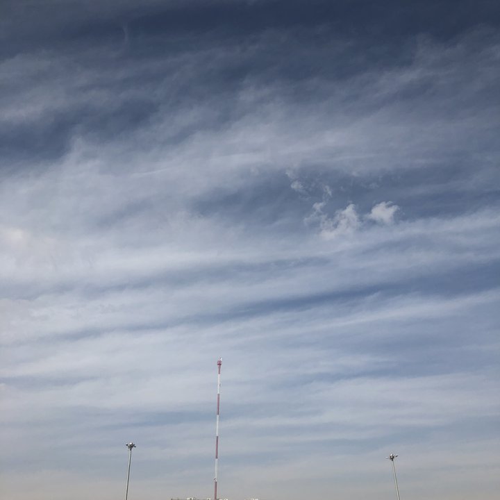 مشاركاتي في أنت الراصد