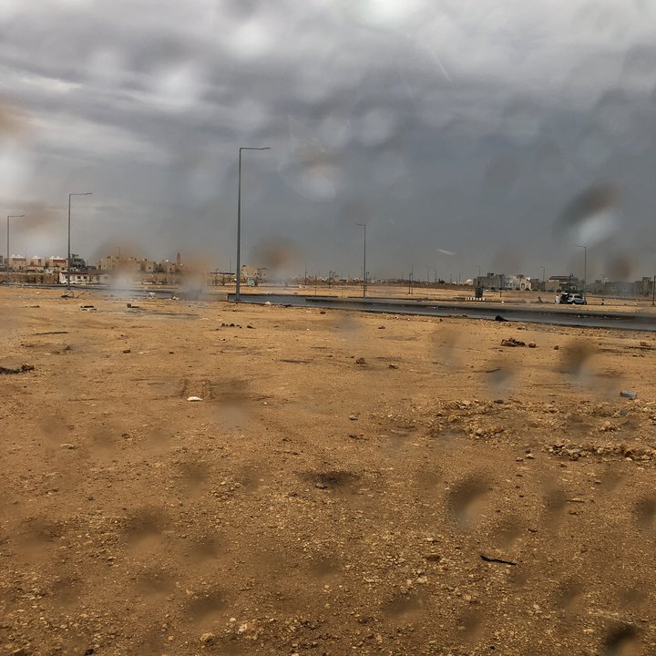 مشاركاتي في أنت الراصد