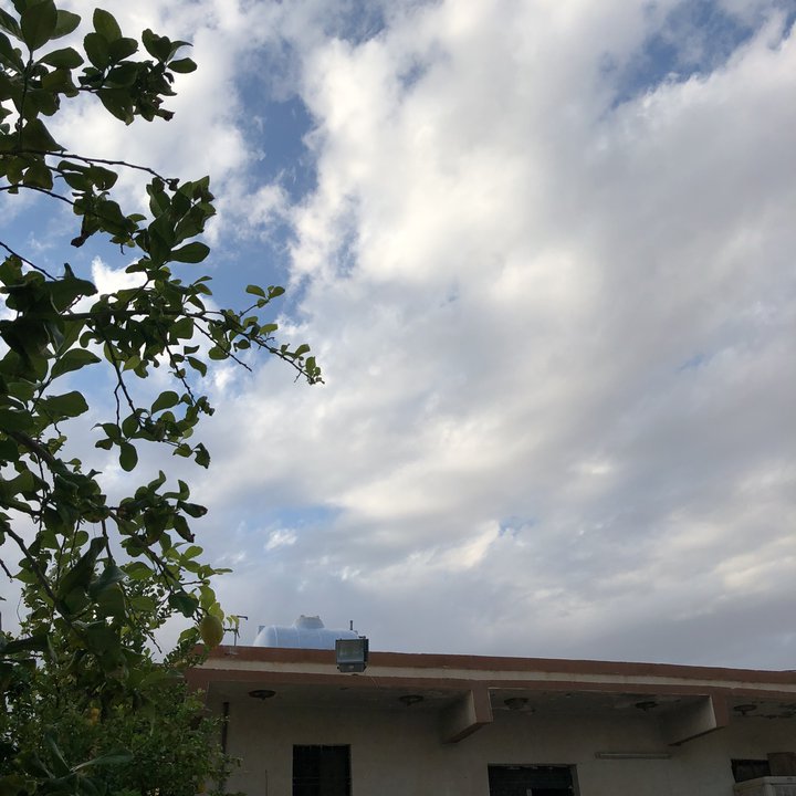 مشاركاتي في أنت الراصد