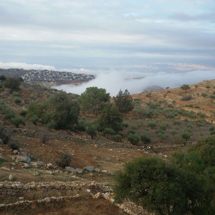 My Crowdsourcing Posts