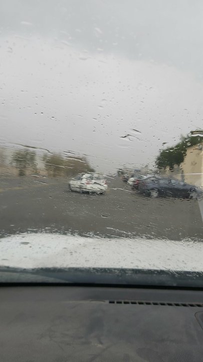 مشاركاتي في أنت الراصد