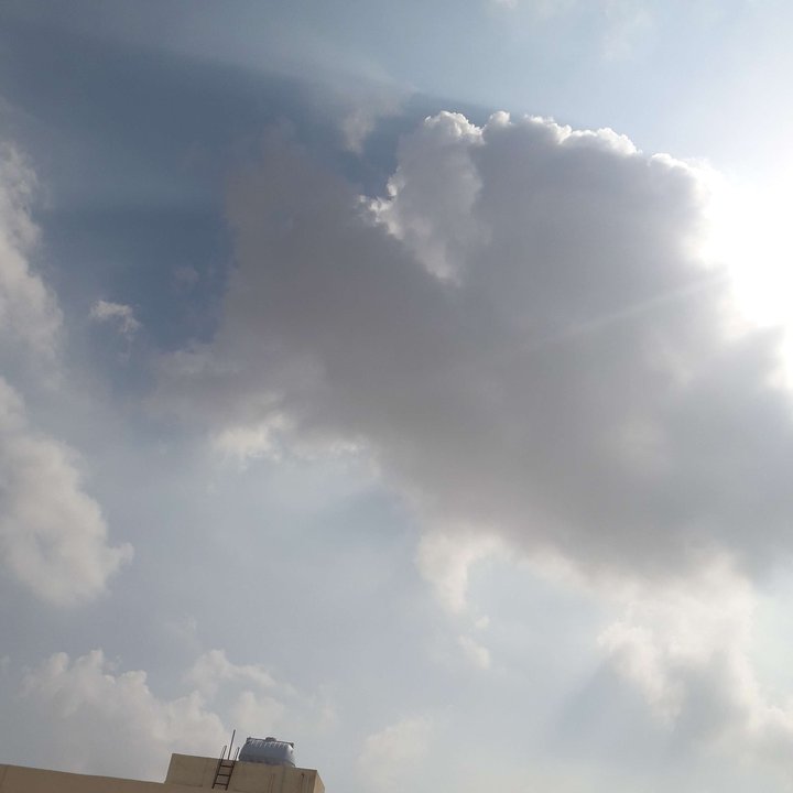 مشاركاتي في أنت الراصد