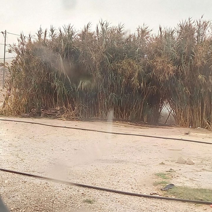 My Crowdsourcing Posts