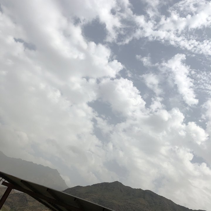 مشاركاتي في أنت الراصد