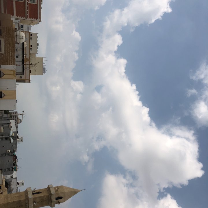 مشاركاتي في أنت الراصد