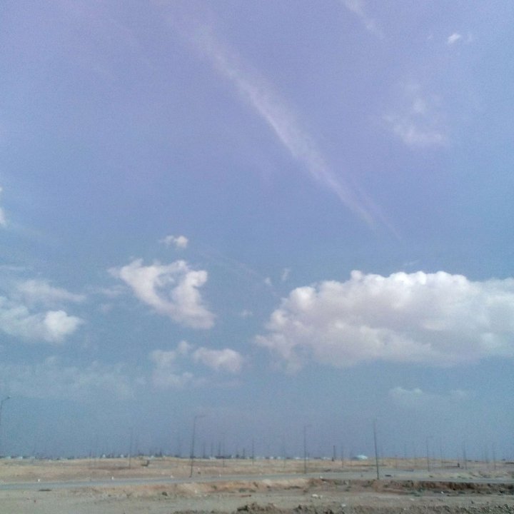 مشاركاتي في أنت الراصد