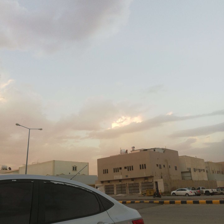 مشاركاتي في أنت الراصد