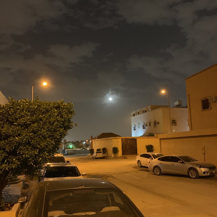 مشاركاتي في أنت الراصد