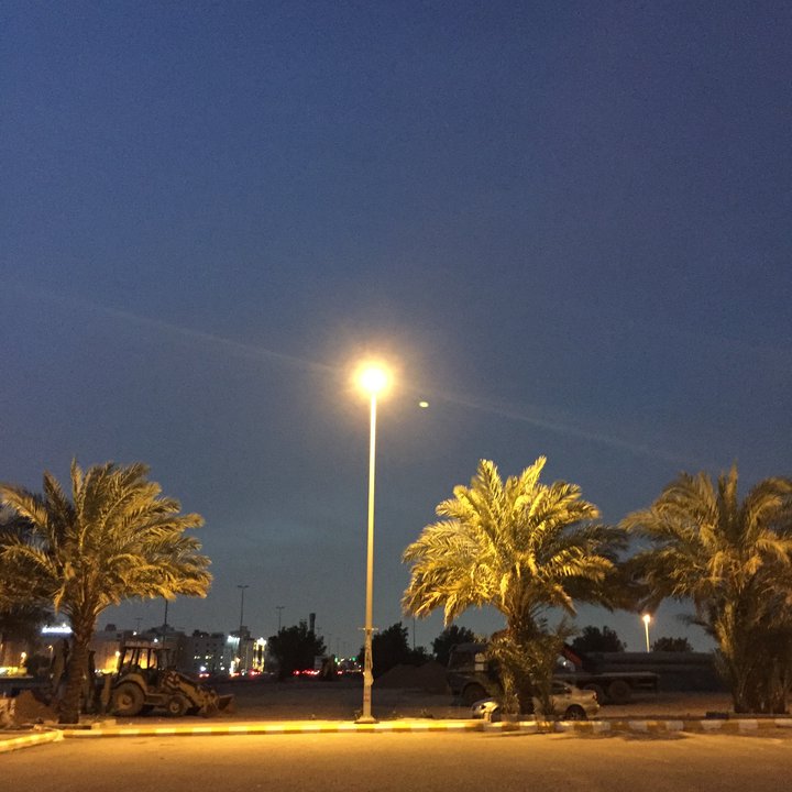 مشاركاتي في أنت الراصد