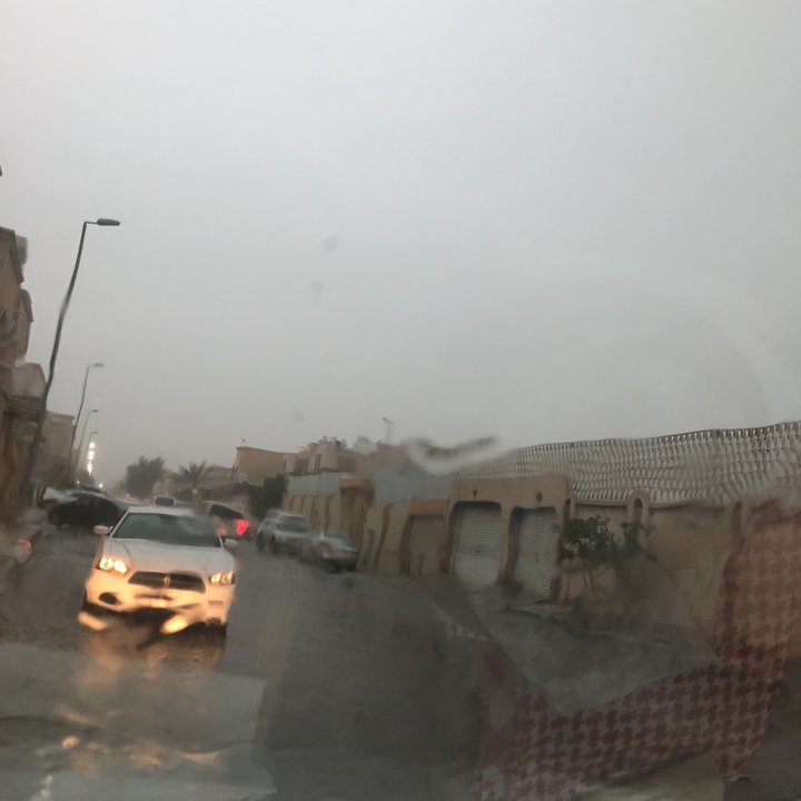 مشاركاتي في أنت الراصد