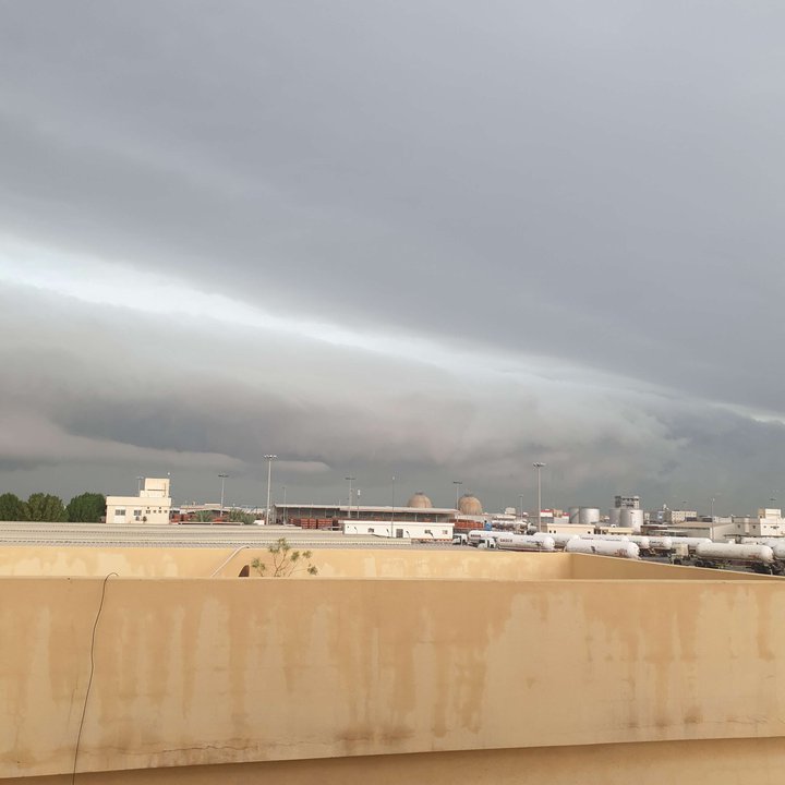 مشاركاتي في أنت الراصد