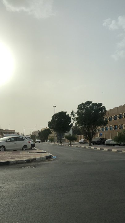 مشاركاتي في أنت الراصد