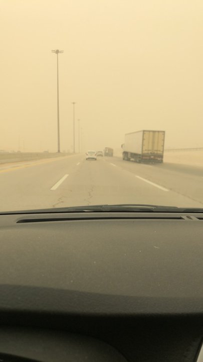 مشاركاتي في أنت الراصد