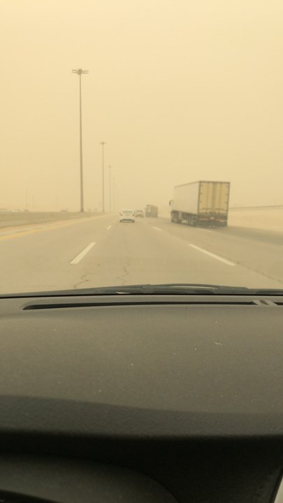 مشاركاتي في أنت الراصد