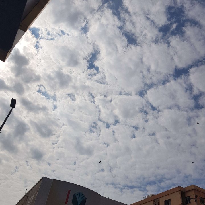 مشاركاتي في أنت الراصد