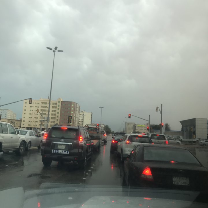 مشاركاتي في أنت الراصد