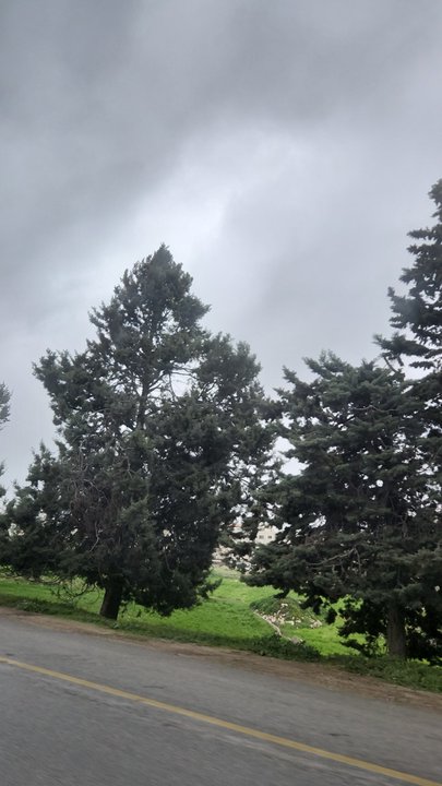 My Crowdsourcing Posts