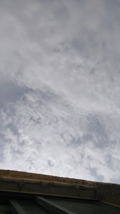 مشاركاتي في أنت الراصد