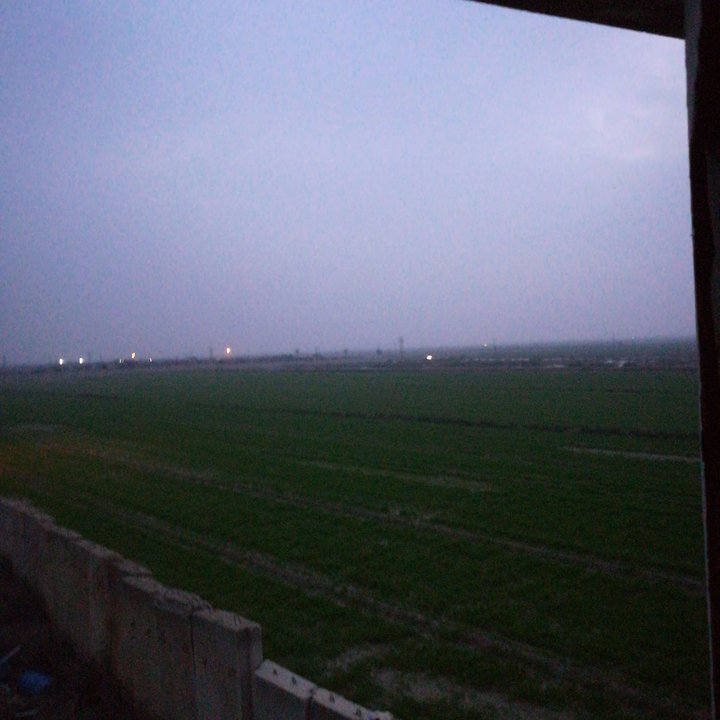 مشاركاتي في أنت الراصد