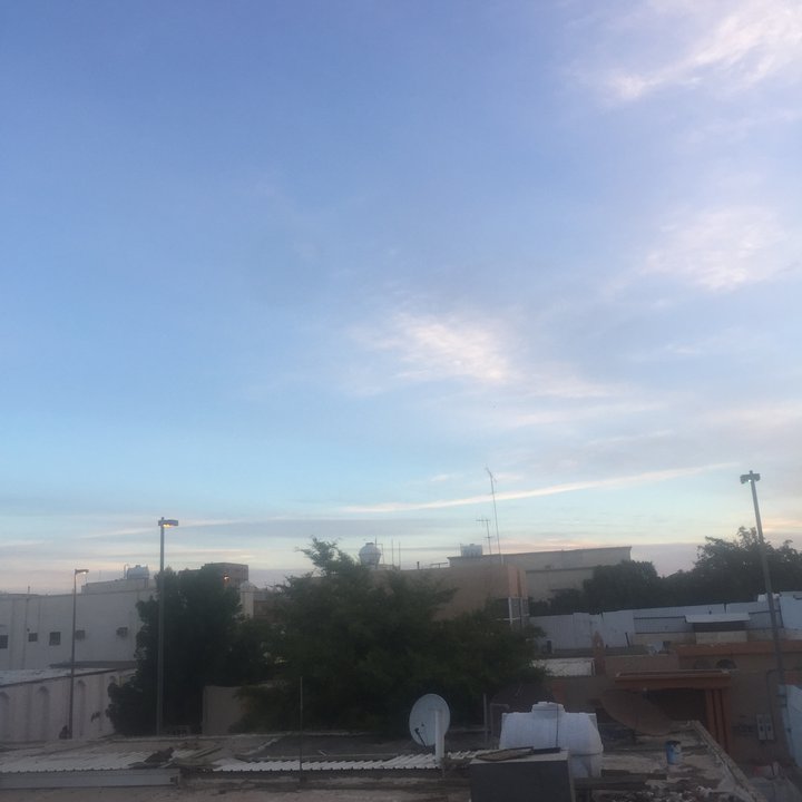 مشاركاتي في أنت الراصد