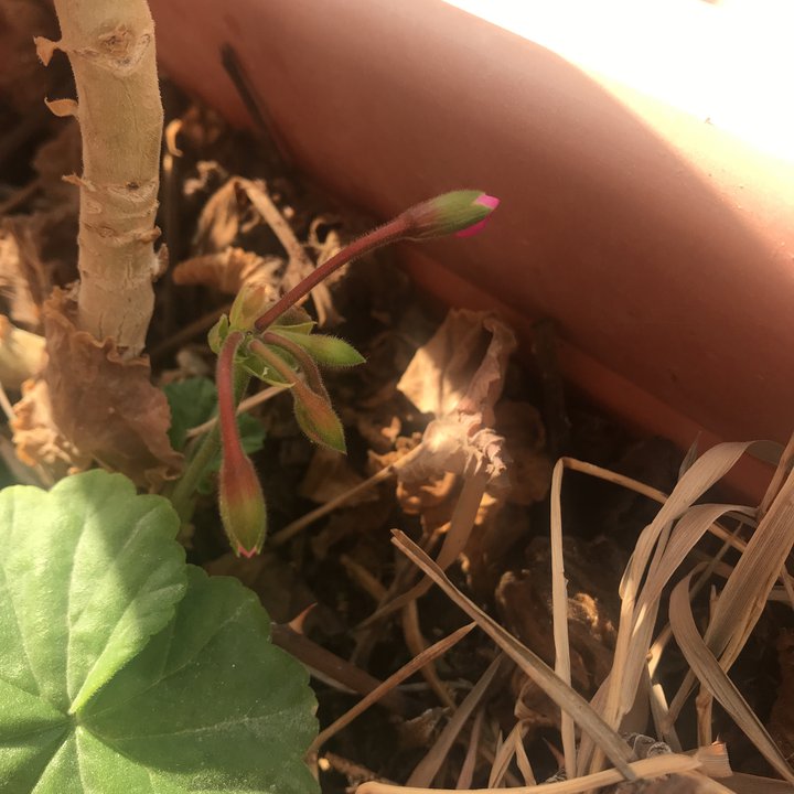 My Crowdsourcing Posts