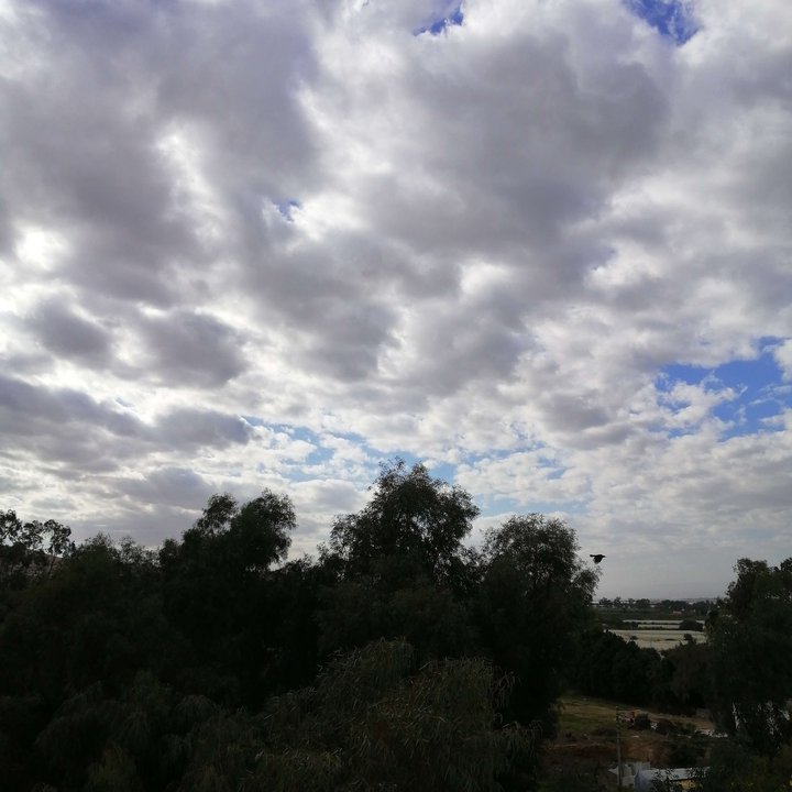 My Crowdsourcing Posts